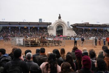 Oportunidad de conectar desde las coincidencias para maximizar el potencial del campo actual y futuro
