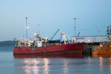 Crisis del sector pesquero se agrava mientras langostinos son aplaudidos: búsqueda de soluciones sigue sin avances