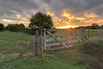 Oportunidad de valorización de los campos agrícolas en Argentina: ¿el momento clave para su crecimiento?