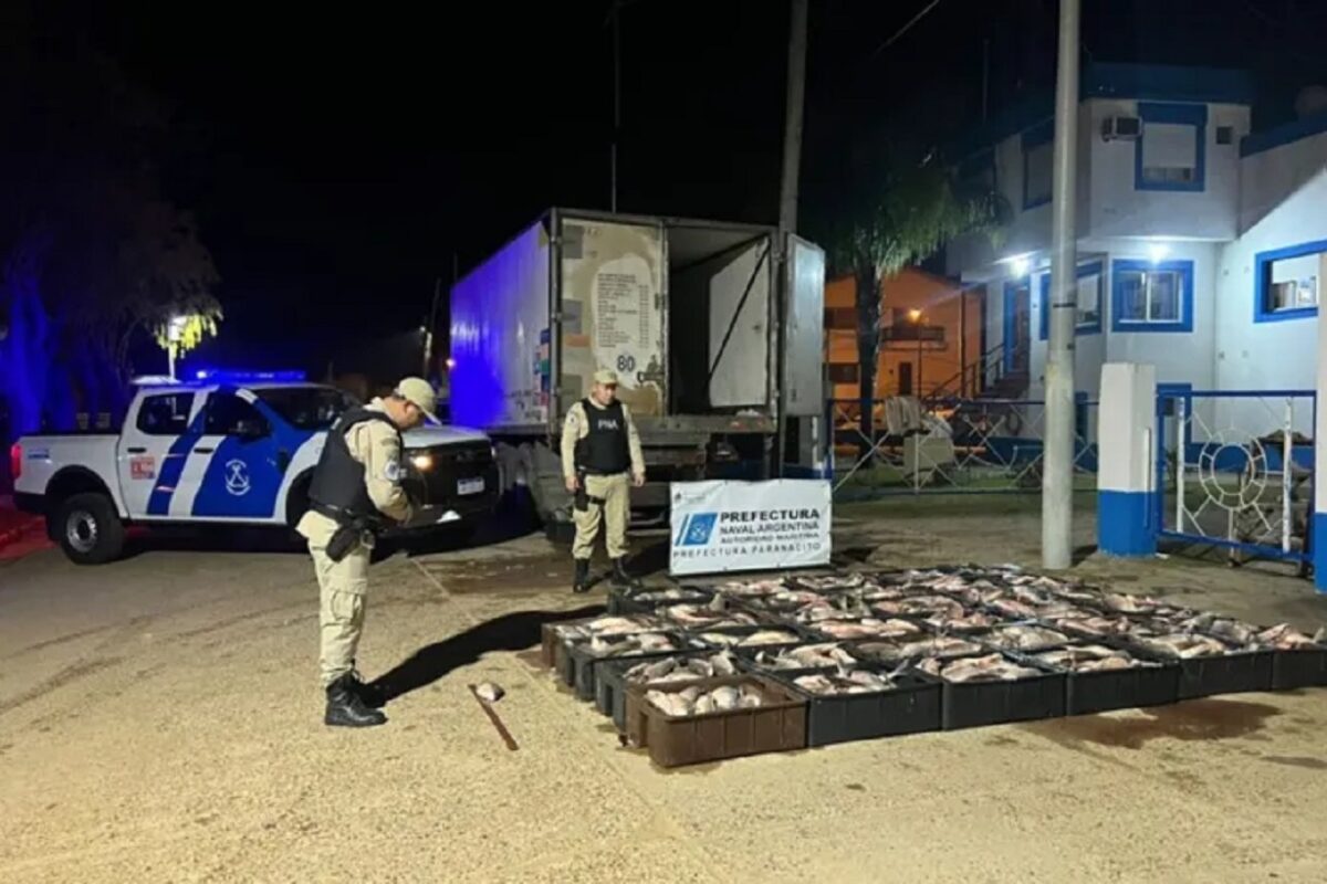 Detienen captura de pescados valuados en 5 millones de pesos