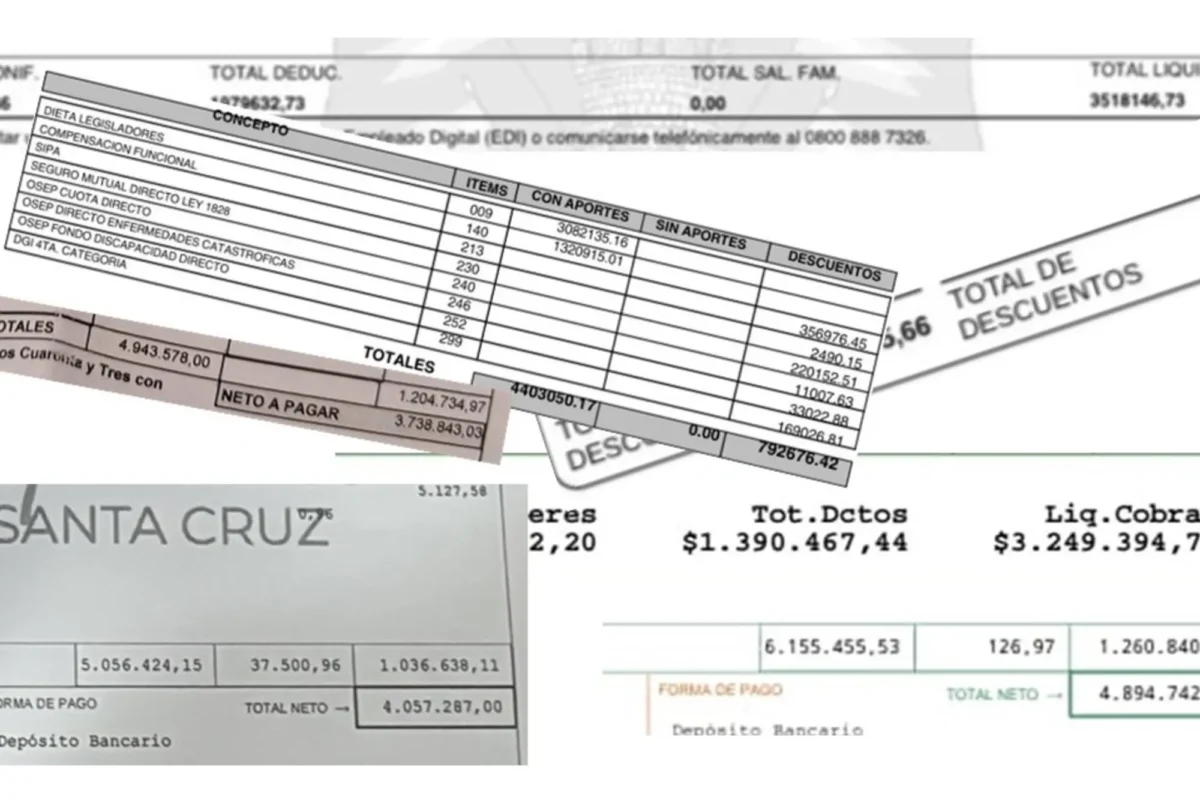 ¿Cuánto cobran los legisladores provinciales en cada uno de los 24 distritos de la Argentina?