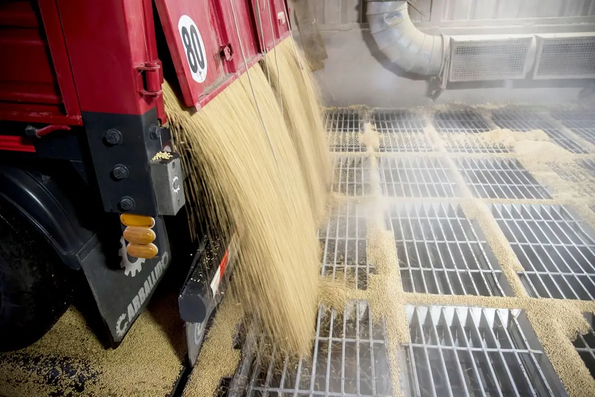 Reflexiones sobre el precio de la soja tras el aumento de registros en el sector agrícola