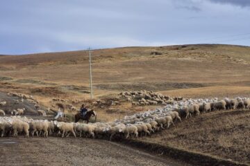 Preocupación por la posible pérdida de exportaciones a Israel debido a una nueva medida gubernamental