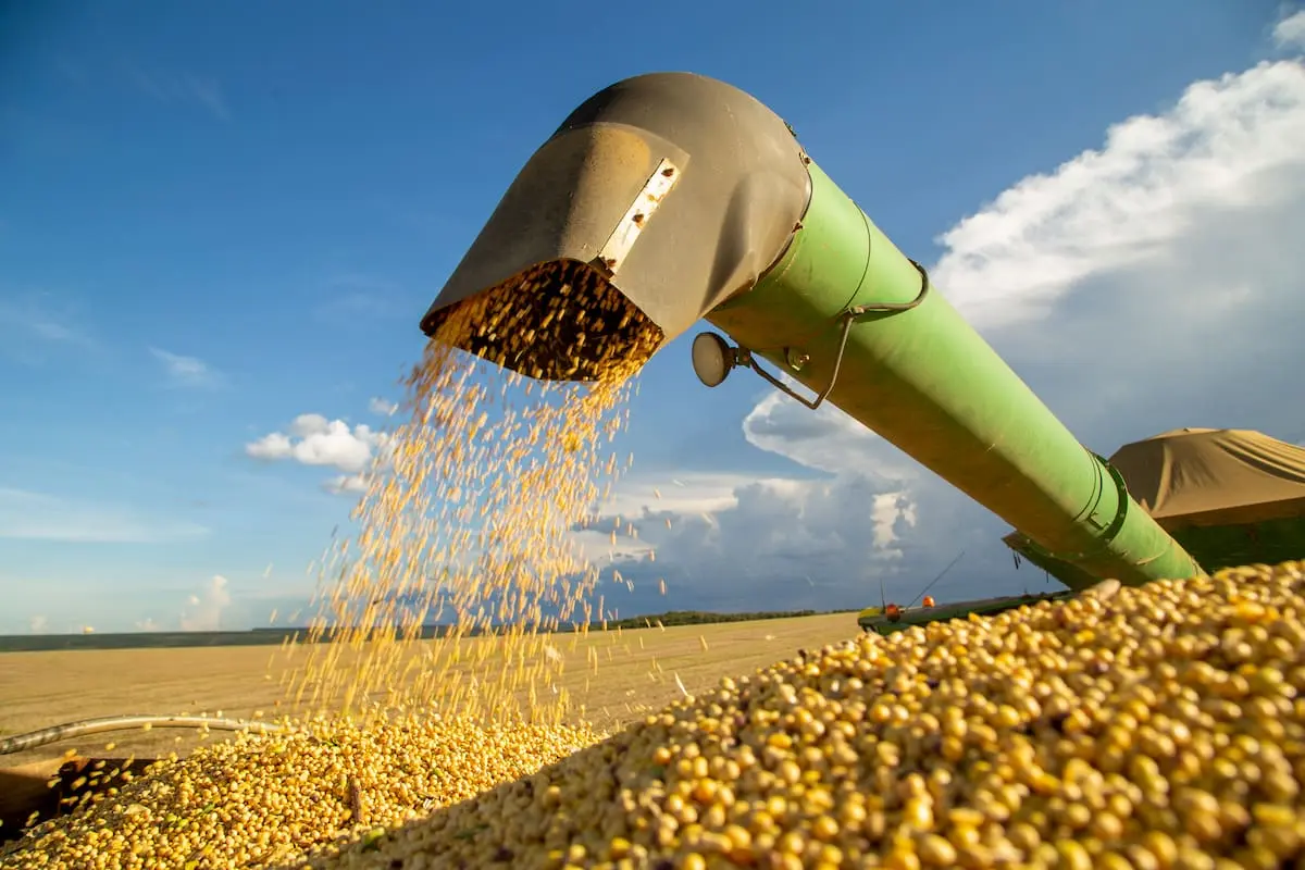 Mejora en precios de granos impulsa potencial de ventas cercanas a US$10.000 millones