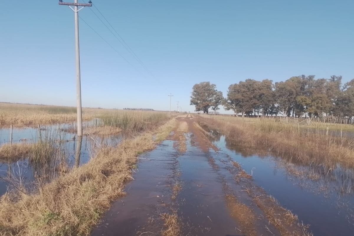 La Justicia exige a un municipio detallar el uso de la recaudación de una tasa rural
