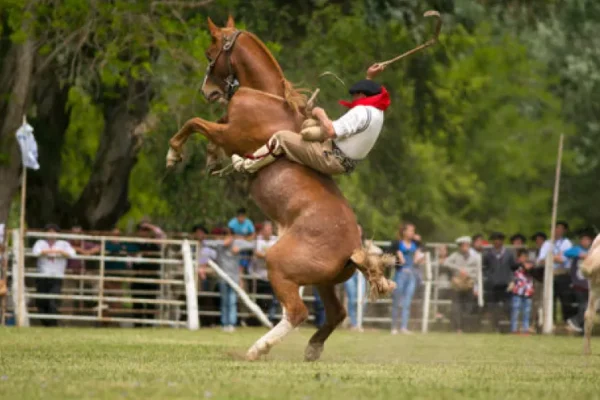 Justicia inicia acción colectiva contra las jineteadas en Oro Verde.