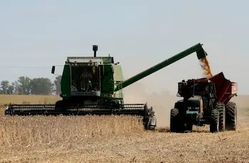 En sólo cuatro años, 6.500 productores dejaron de sembrar soja: por qué ocurre y a qué granos rotaron