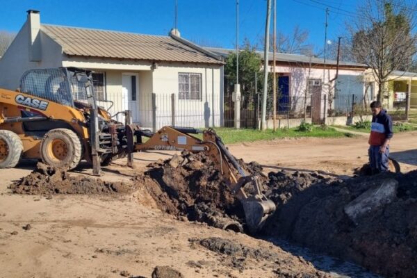 Se realizan trabajos de limpieza y mantenimiento en los accesos