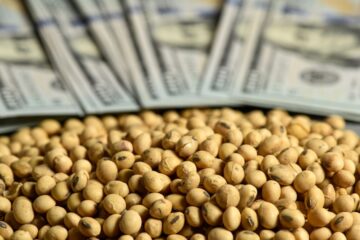 Agro impulsa liquidación de divisas tras recorte de retenciones y reduce presión sobre el dólar a $1.330