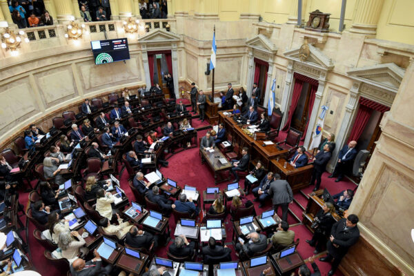 El Senado que se viene: Las listas de cada fuerza, provincia por provincia