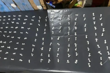 Tres detenidos en Concordia por narcotráfico; en Paraná, hallan plantas de marihuana y armas en un operativo.