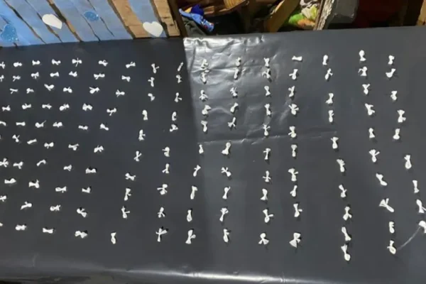 Tres detenidos en Concordia por narcotráfico; en Paraná, hallan plantas de marihuana y armas en un operativo.