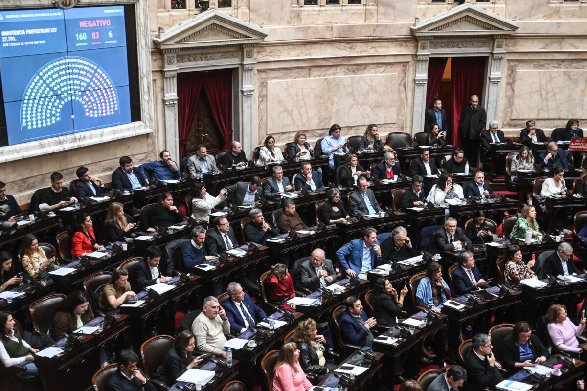 Vetos de Milei: el Gobierno pierde en discapacidad , pero mantiene el rechazo a la suba de jubilaciones