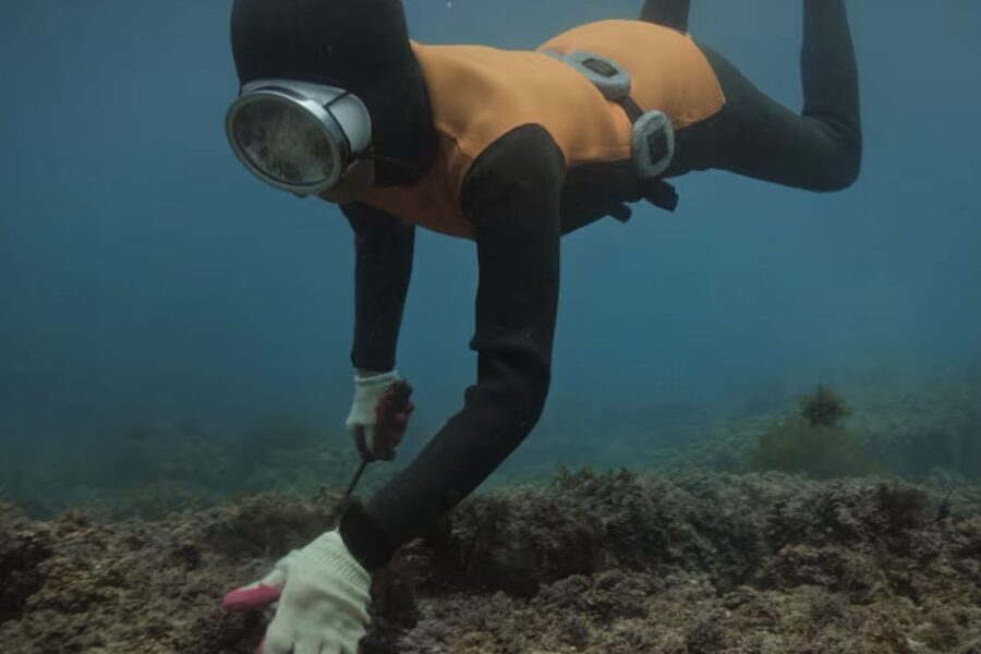 La fascinante vida de las Haenyeo, las sirenas surcoreanas que sumergen 20 metros en el mar sin oxígeno