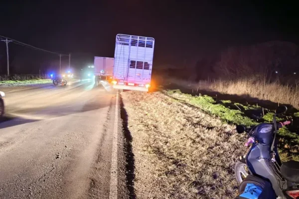 Mujer pierde la vida tras caer de una moto en Ruta 11 y ser atropellada por un camión