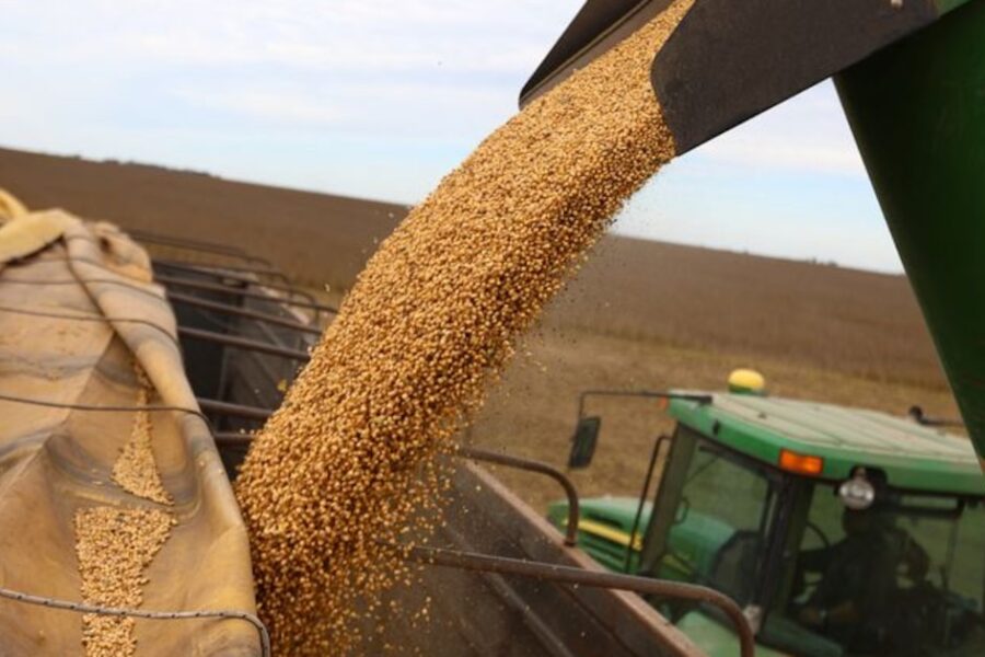 Dólar: gran liquidación de granos se desploma un mes después de la baja de retenciones y genera volatilidad en el mercado