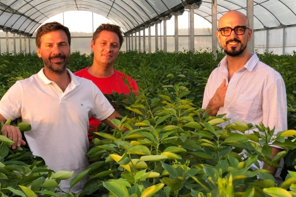 4000 toneladas del superfruto con Abel Pintos como embajador: un hito en la producción nacional