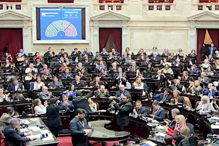 El Congreso dejó sin efecto el veto presidencial: uno por uno, cómo votaron los diputados la Emergencia en Discapacidad