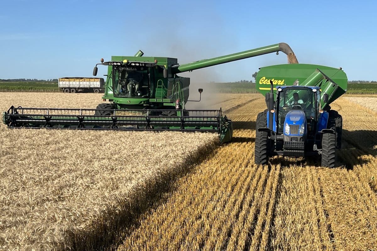 Sintonía fina necesaria ante márgenes ajustados para mantener la calidad y eficiencia en el sector