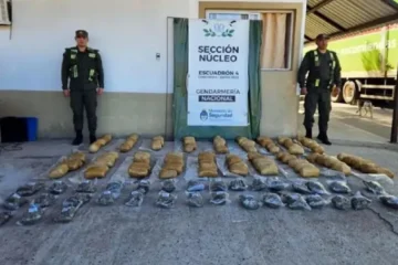 Descubren 50 kilos de marihuana ocultos en encomiendas en Entre Ríos