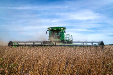 El 65% del financiamiento para la campaña agrícola 2024/2025 se realizó en dólares, revela plataforma financiera