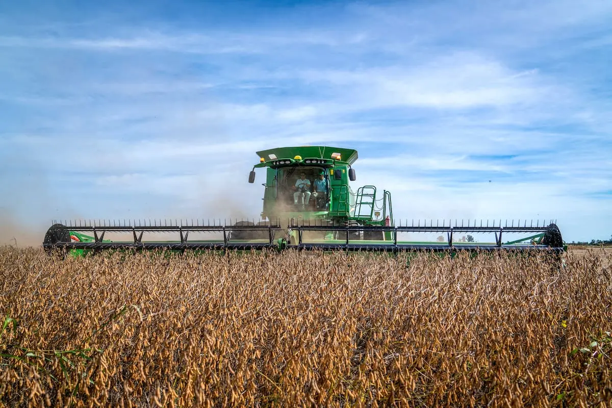 El 65% del financiamiento para la campaña agrícola 2024/2025 se realizó en dólares, revela plataforma financiera