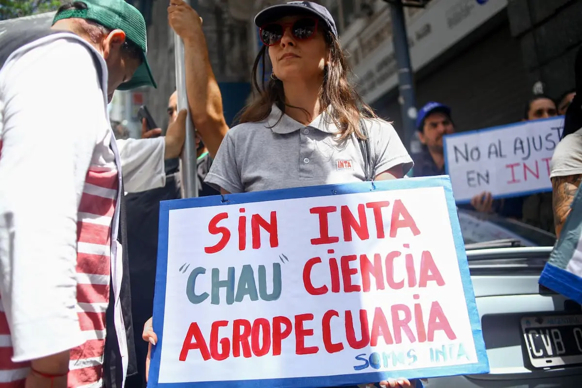 nueva estructura organizativa genera expectativa ante inminente decisión del Senado