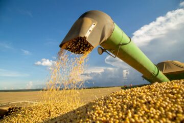 Agosto podría establecer un nuevo récord en exportaciones, con China como la protagonista clave del proceso.