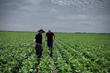 Cuatro factores esenciales para alcanzar el éxito en empresas agropecuarias