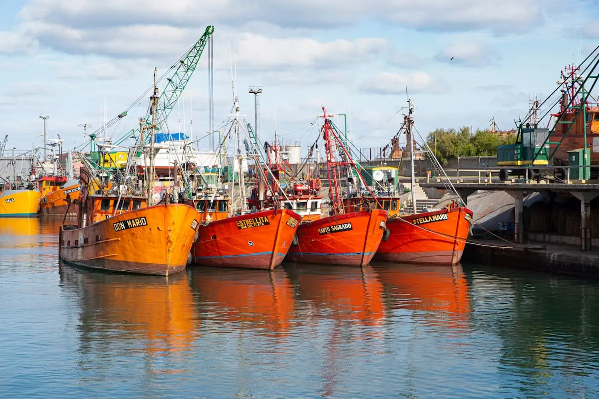 Gobierno evalúa reducción de retenciones al sector pesquero en medio de un análisis estratégico