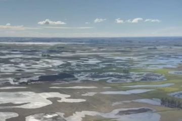 Desastre en campos bonaerenses se agrava tras inundaciones en la región