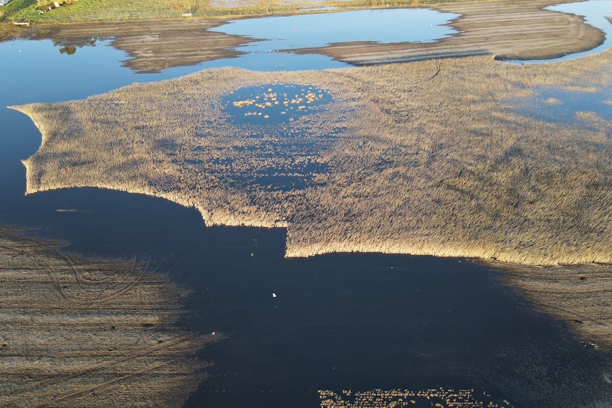 Revelan que la región agrícola ha recibido hasta 300 milímetros de lluvia adicional en comparación con lo usual