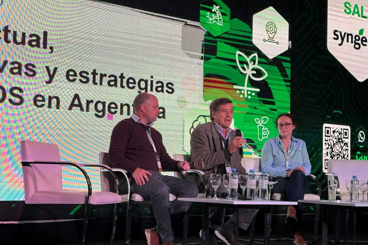 Nuevos mapas digitales revelan el impacto del carbono en el suelo argentino