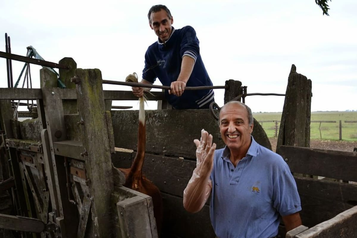 El veterinario argentino que ha realizado más de un millón de tactos rectales a lo largo de su carrera.
