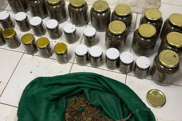 Hombre huye entre malezas tras desechar casi 14 kilos de marihuana en el oeste de Paraná