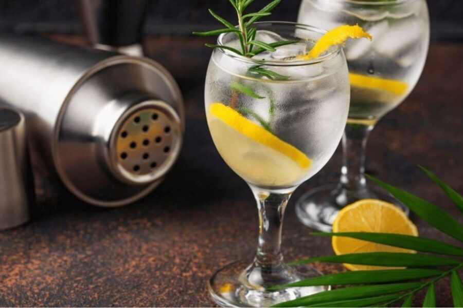 El gin argentino conquista Europa: “Donde hay capacidad de consumo, el producto explota”