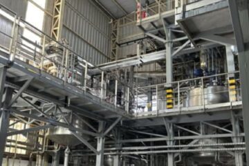 Premio Fortuna Mejor Empresa Construcción e Insumos: Disal