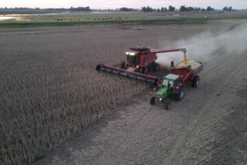 Aumento en los costos estratégicos impacta la producción agrícola y su rentabilidad a largo plazo