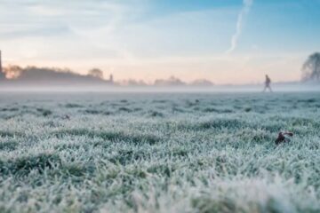 Preocupación en el agro por la llegada de heladas a las zonas productivas durante agosto