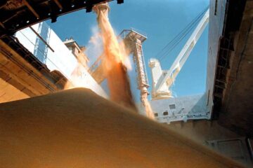 Exportaciones agrícolas alcanzarán US$10.154 millones al cierre del año según estimaciones oficiales.