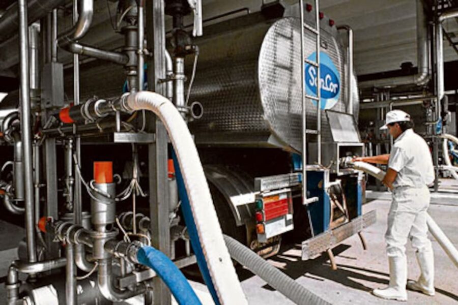 Del dominio de las tres gigantes y las cooperativas a un mercado fragmentado y atomizado