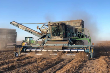 Córdoba establece el Instituto Argentino del Maní para impulsar la producción y desarrollo del sector