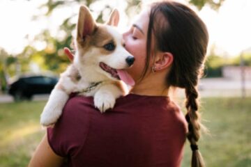 Justicia para el amor eterno: las historias que conmueven y emocionan en Noticias