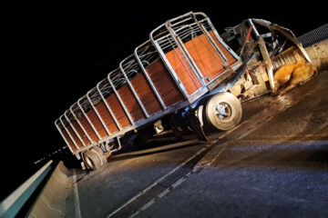 Choque frontal entre camión con ganado y camioneta deja dos heridos graves en RN174