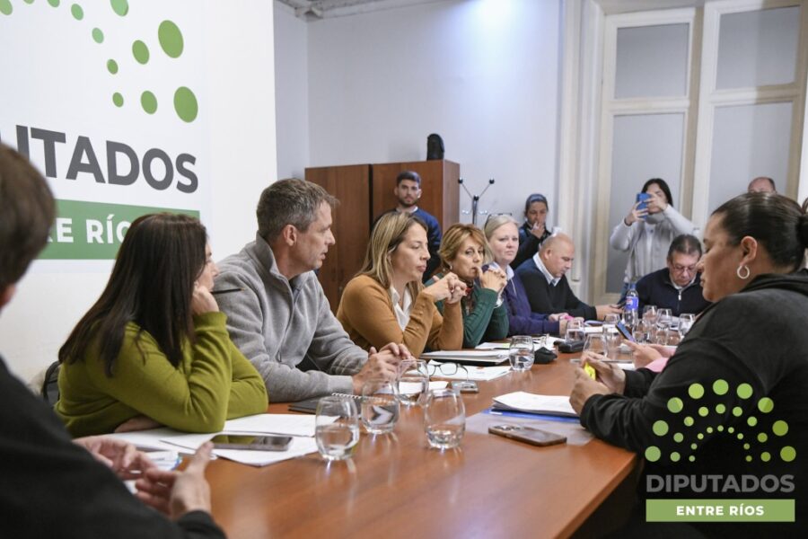 Entre Ríos avanza en ampliar la Ley de Emprendedurismo Joven: proponen eliminar el límite de edad