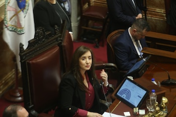 Senado: el Gobierno se enfrenta a una sesión con derrotas en emergencia pediátrica y presupuesto universitario