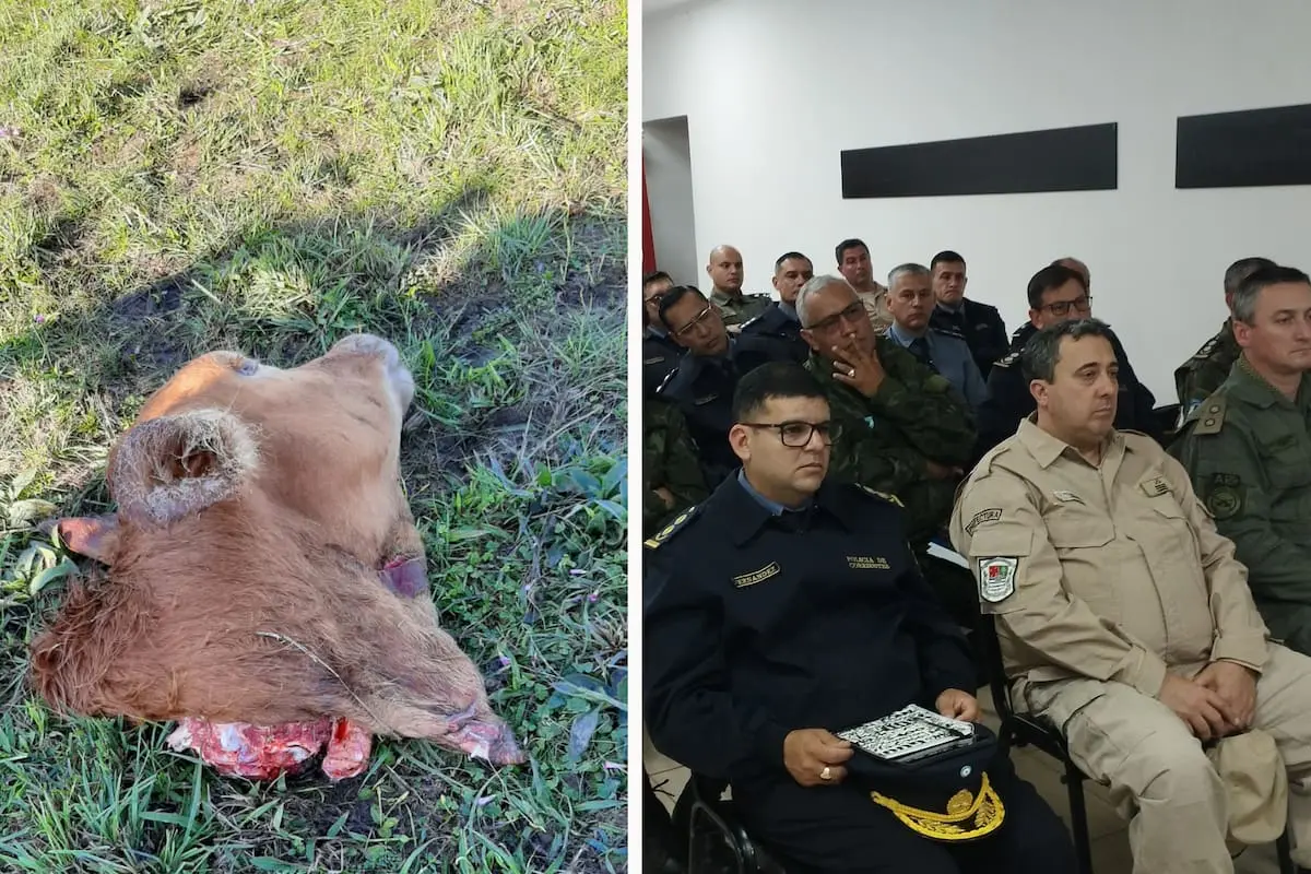 Mesa de fuerzas de seguridad en frontera busca frenar robos y advierte sobre hectáreas desocupadas en la zona