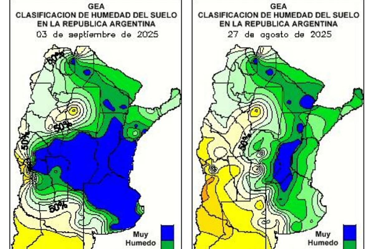 8,3 millones de hectáreas inundadas por el inédito diluvio que afectó la región