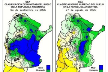 8,3 millones de hectáreas inundadas por el inédito diluvio que afectó la región