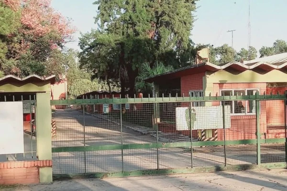 una de las principales algodoneras permanece paralizada